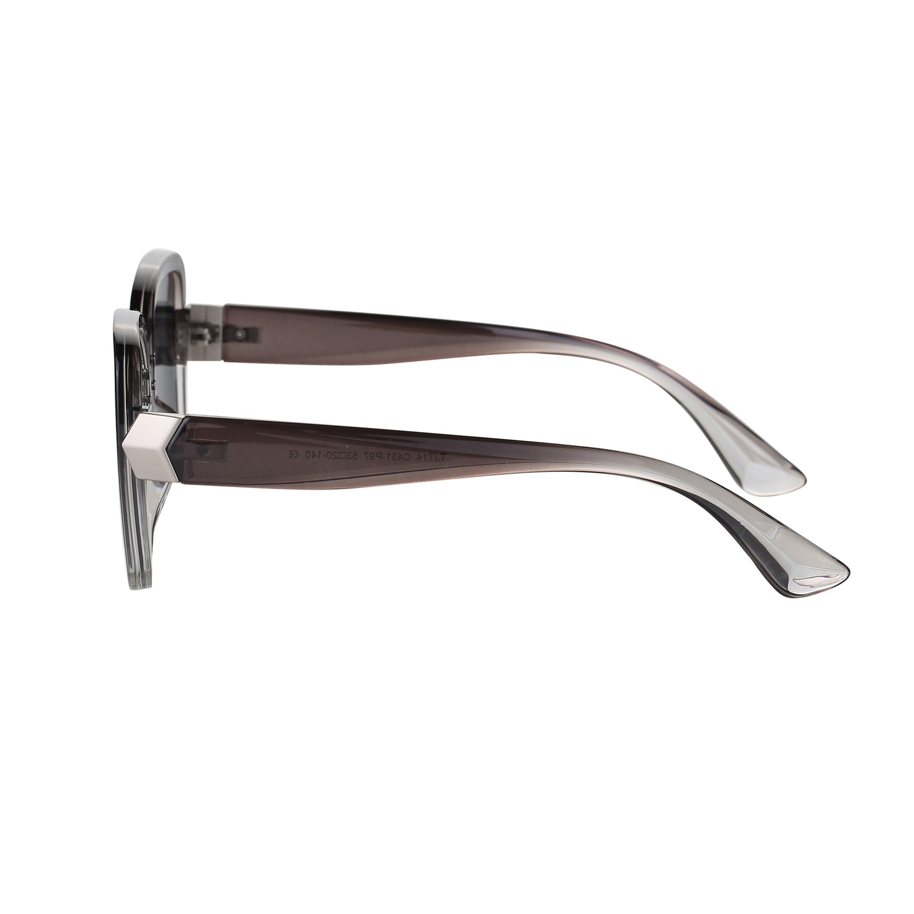 Joree Sunglasses in Brown Silver