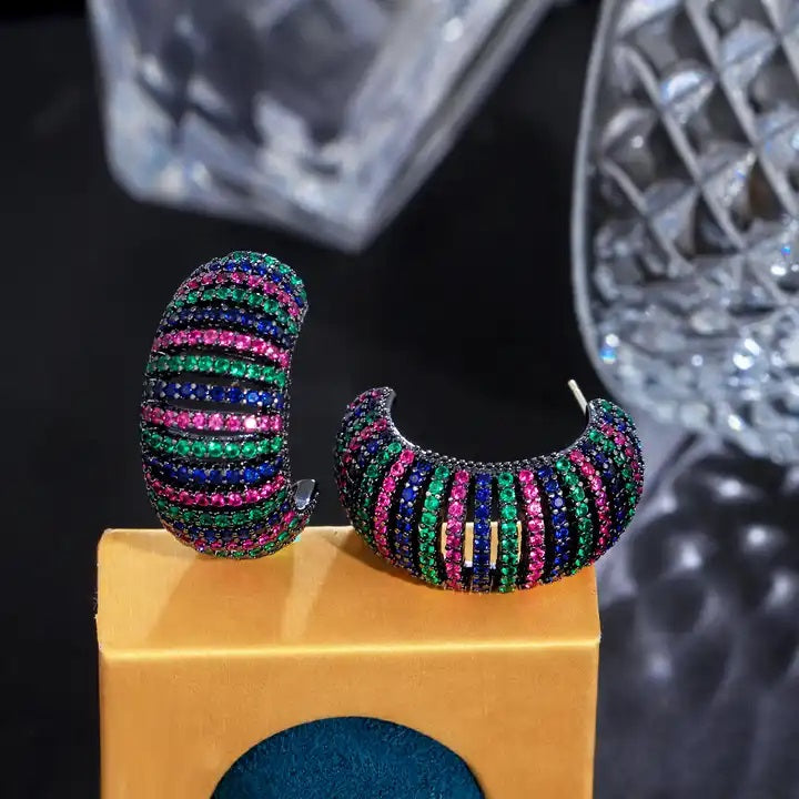 Seine Designer Earrings in Multi