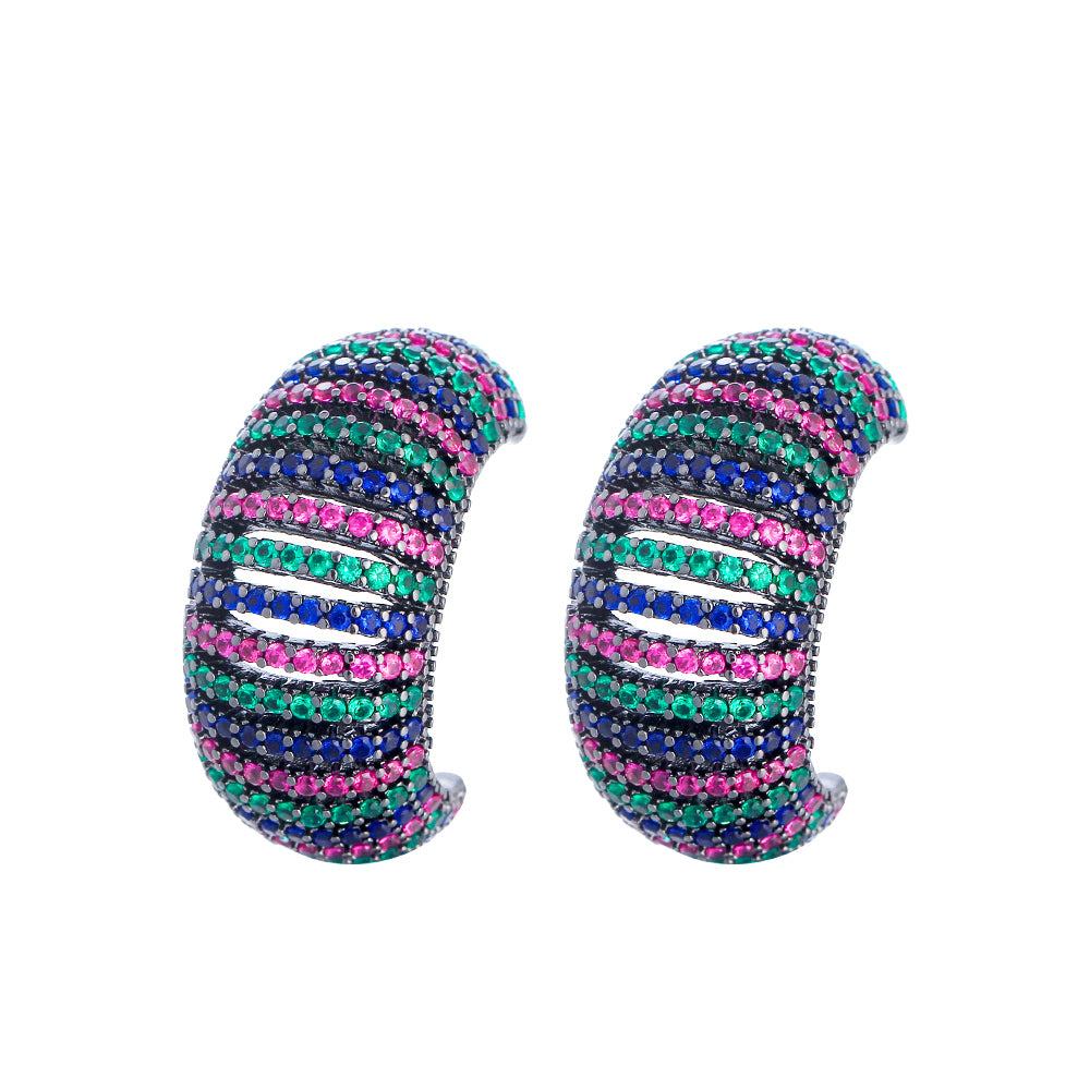 Seine Designer Earrings in Multi