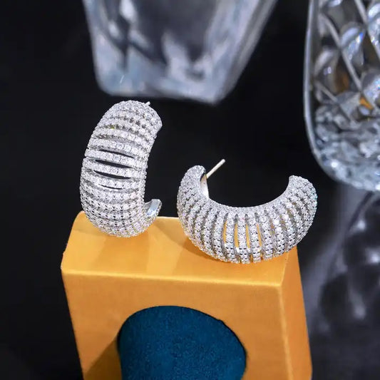 Seine Designer Earrings in Silver