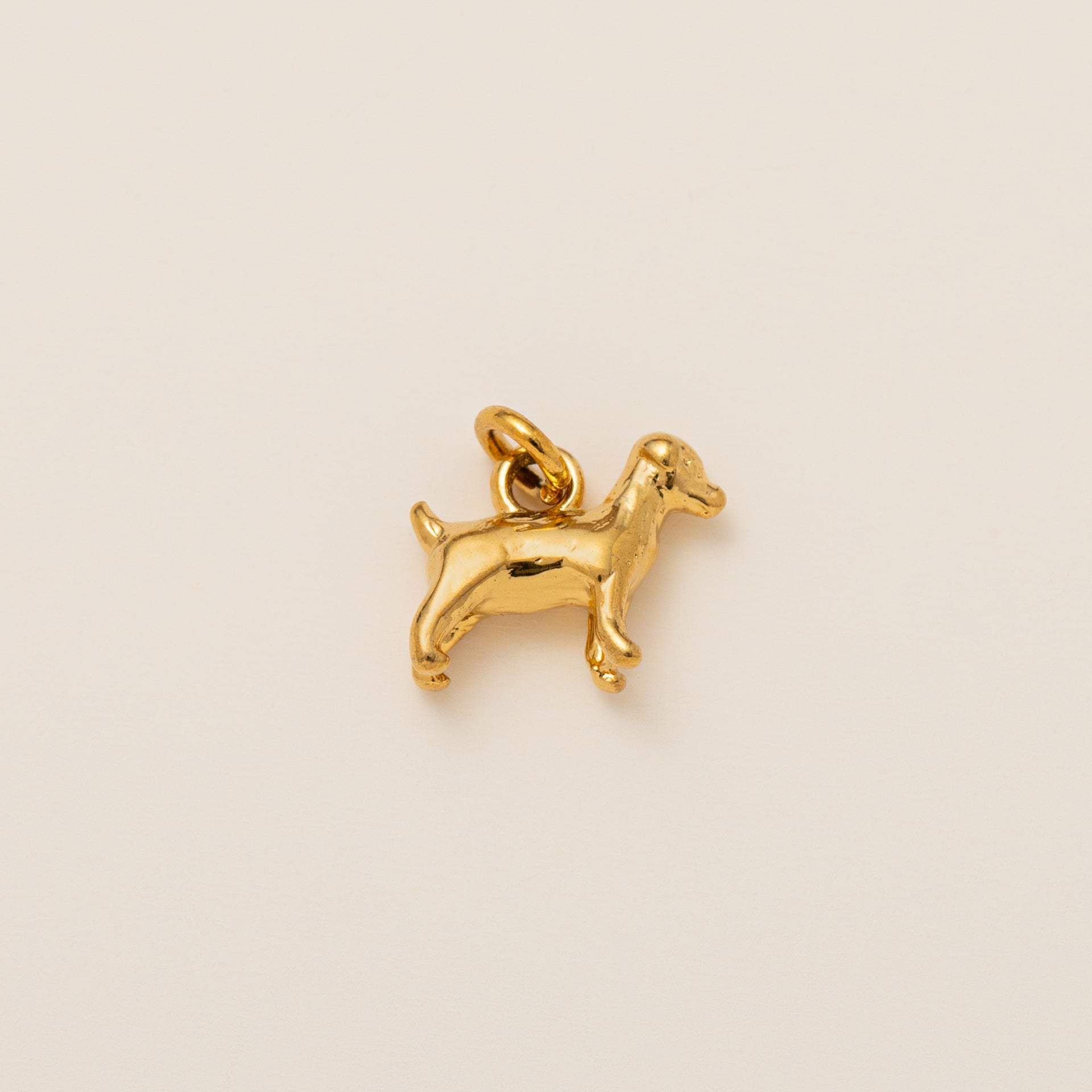 Animal Steel Charmz